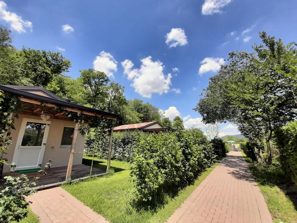 Agriturismo Alba バオーネ エクステリア 写真